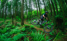 Afbeelding in Gallery-weergave laden, Transition Spire Carbon