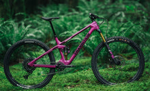 Load image into Gallery viewer, Transition Smuggler GX