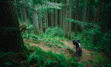 Load image into Gallery viewer, Transition Smuggler GX