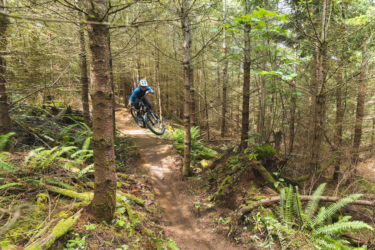 Revel Rail 29: the best do-it-all bike? – Secret Spot Cyclery