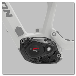 Transition Regulator CX XT Glacier White